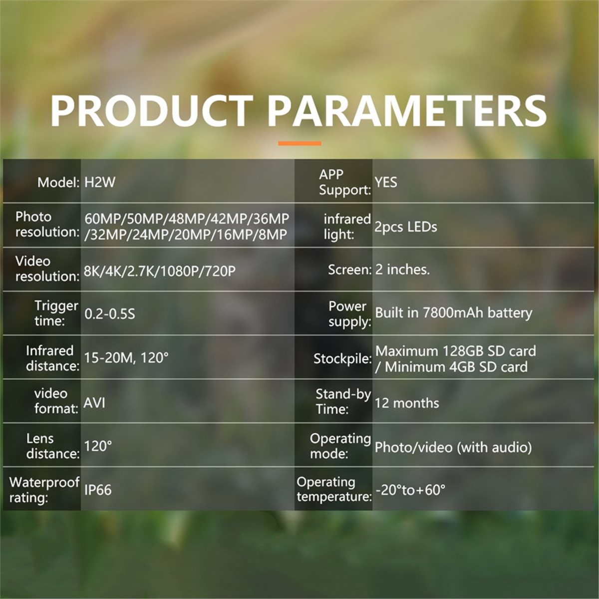 Kamera Berburu AS62 8K HD, Mon - Hunting Outdoor Rug ulasan dan harga