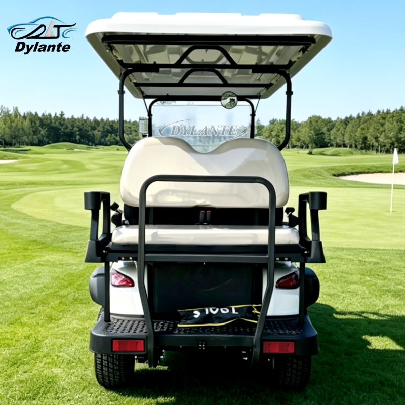 Mobil Golf Listrik 6 Kursi Ten - Outdoor Hunting Vehicle ulasan dan harga